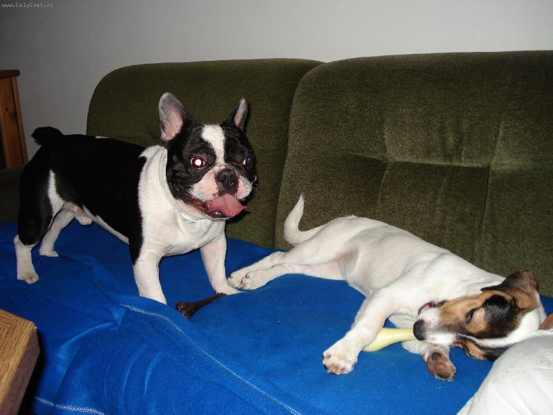 Foto: Nejlep�� kamar�di...