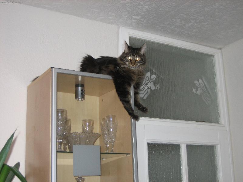 Foto: N� Tedy v bezpe�n�m �krytu p�ed d�tmi