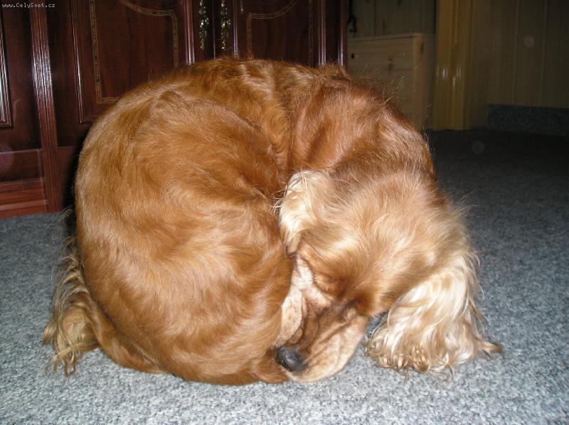 Foto: Shell-Uh�dnete,co to je???