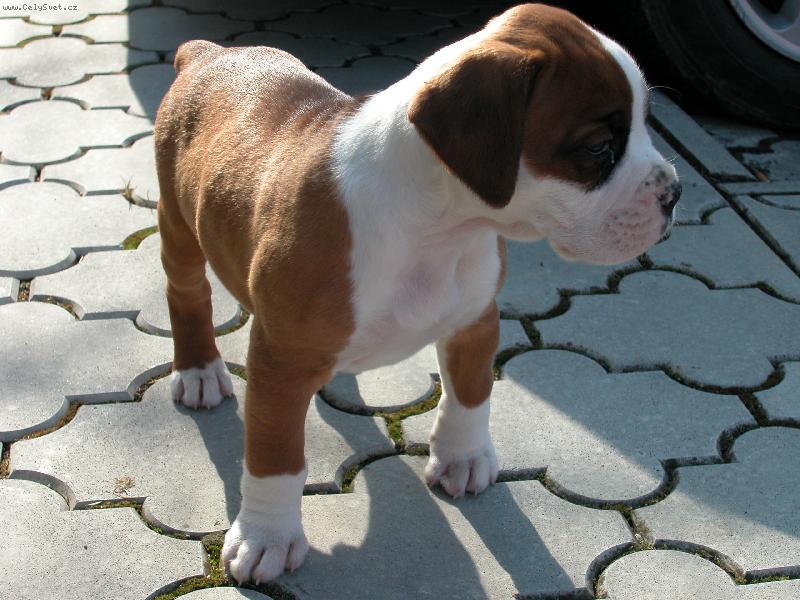 Foto: Kam jste mi utekly???