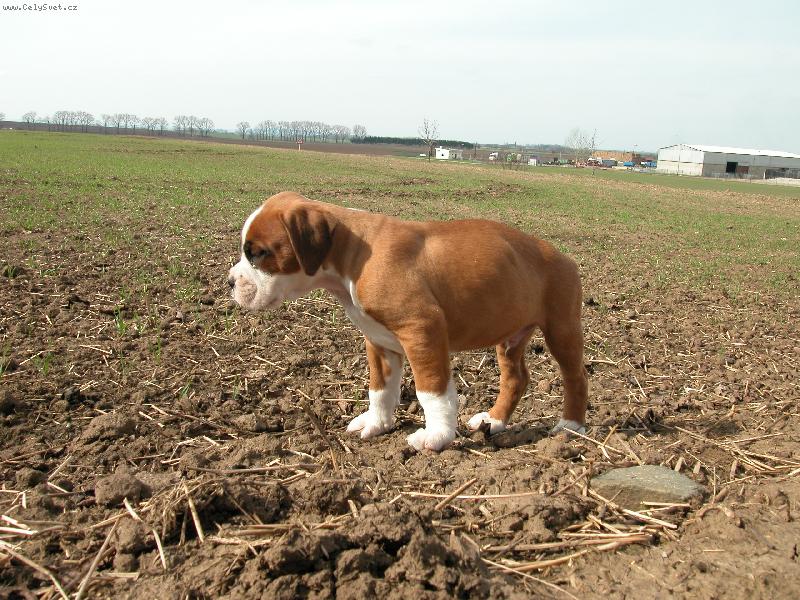 Foto: Tak si tu kr���m s�m:o(