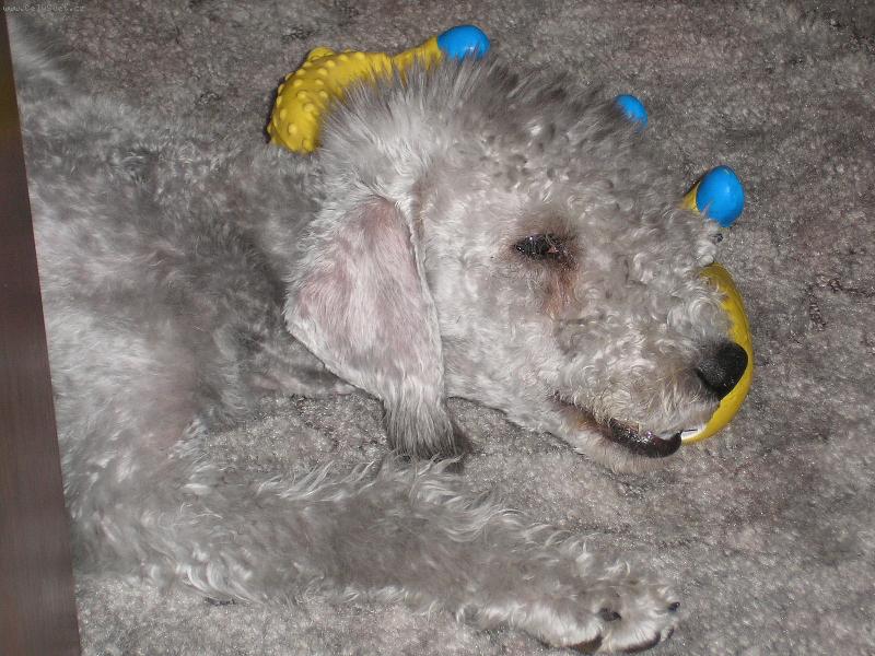 Foto: J� to jsem byl je�t� malej kluk