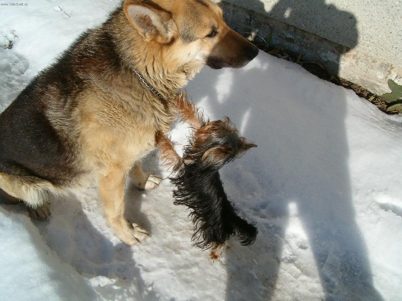 Foto: Peggy a Brit-No,tak u� mi dej pusu!!