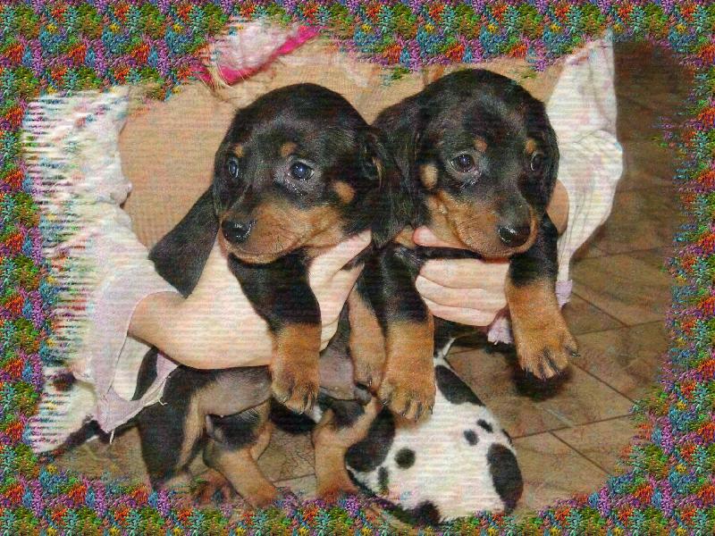 Foto: �t���tka