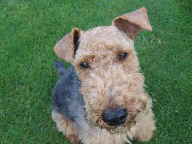 Foto: M�j mil��ek Bert�k:)-nen� kr��sn�?