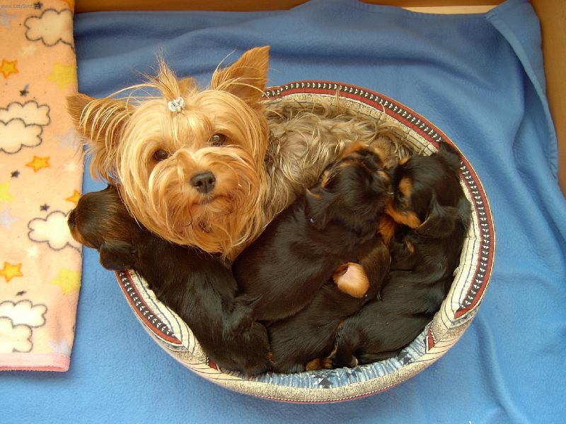 Foto: Ma�k�n� v pel�ku