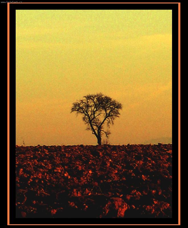 Foto: Opu�t�n� star� strom