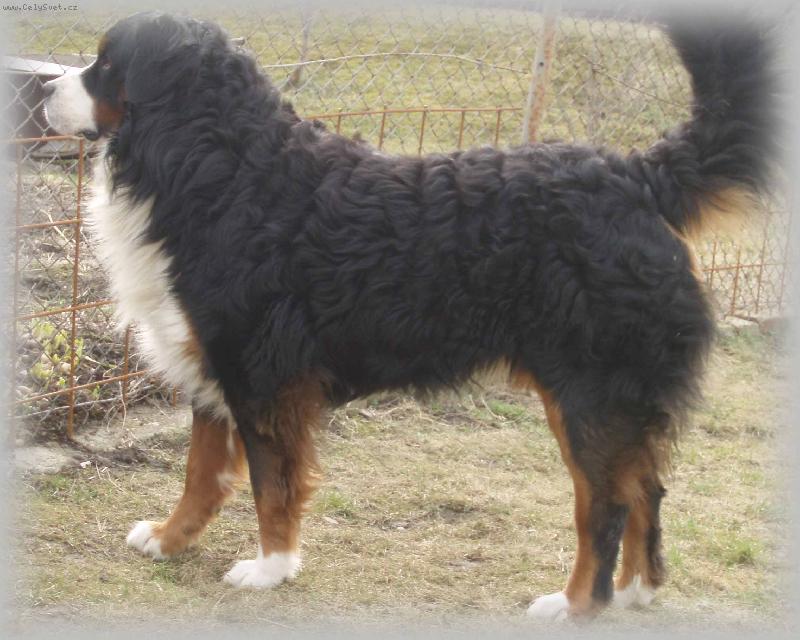 Foto: ��ham na ma�i�ku-Dago Rudnianska dolina