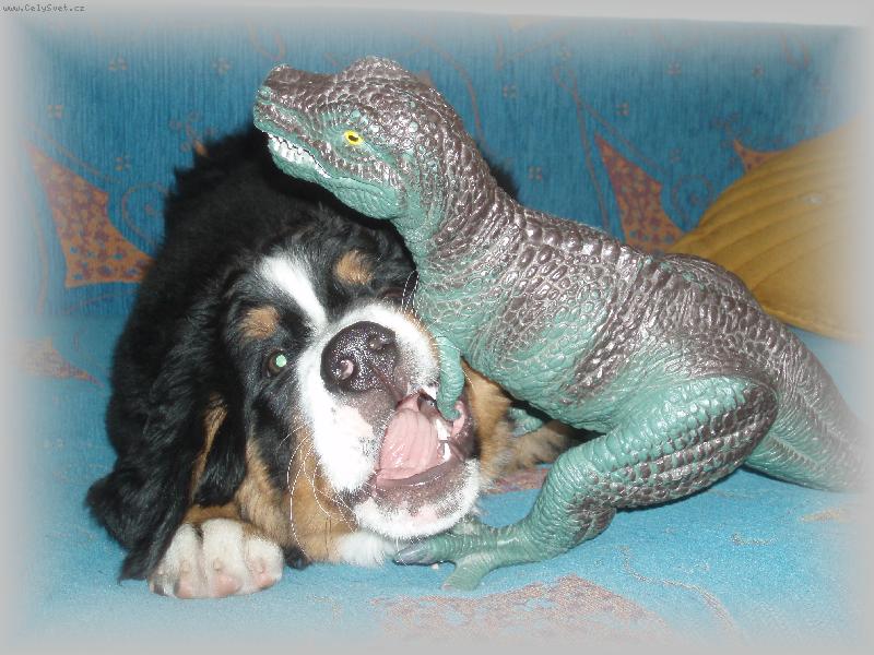 Foto: s�boj titanov-Bernadetta Vala�sk� slunce