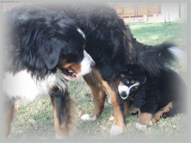 Foto: som mal� ale �ikovn� :)-Bernadetta Vala�sk� slunce