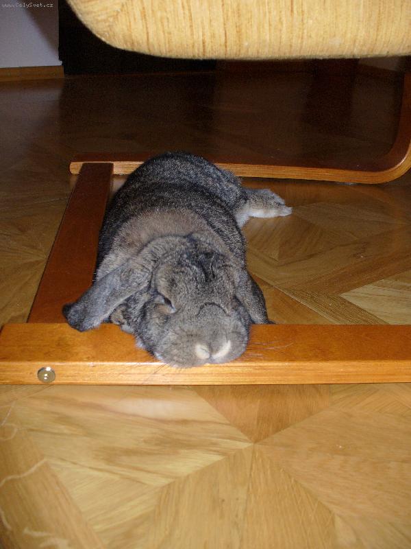 Foto: Kr�li�� pohodi�ka-...tak takhle r�da odpo��v�m:-)