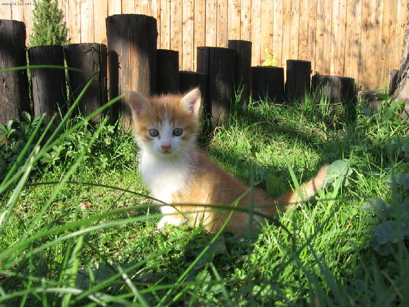 Foto: klid, hl�d�m to tu...