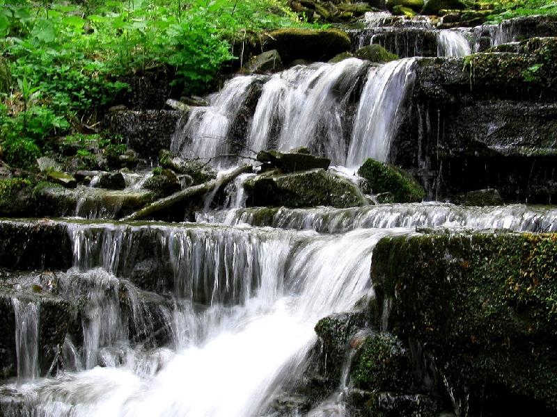 Foto: byst�ina na Pra�iv�