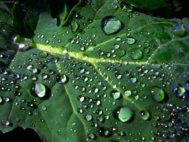 Foto: hez�� ne� drahokamy