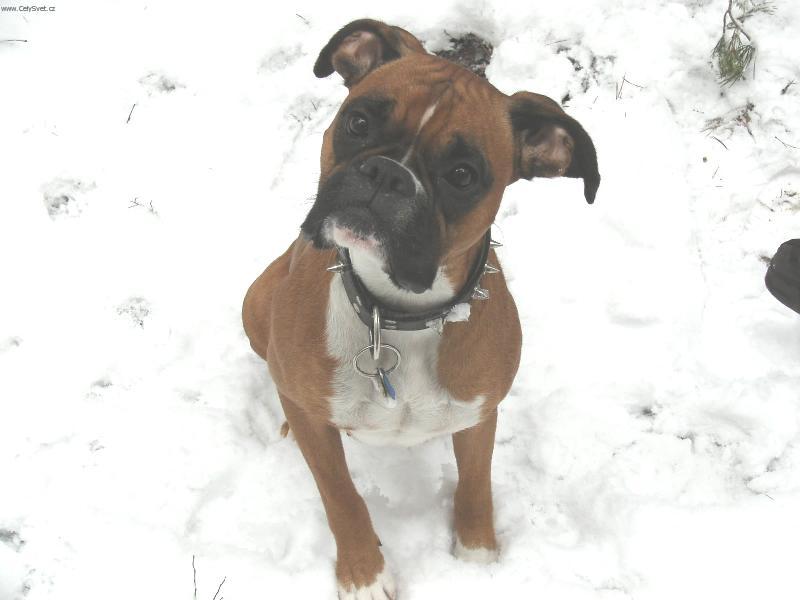 Foto: S�runka-Na�e nej S�rinka