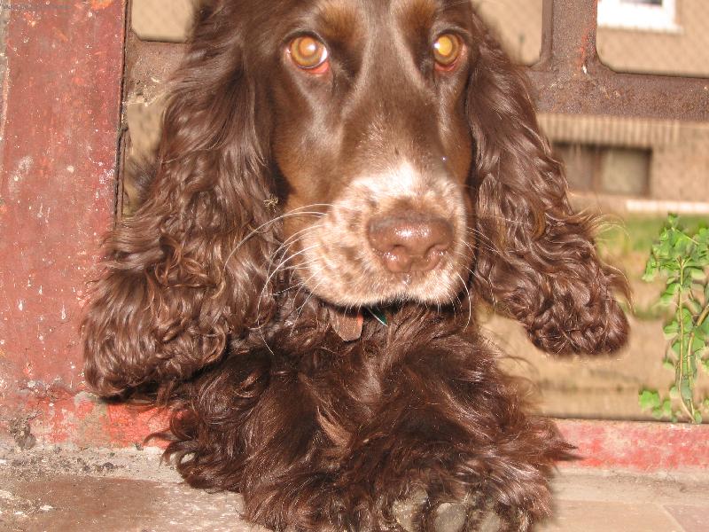 Foto: Ad�lka-Tak tu m�te tu Ad�lku u� je celkem v�t�� ale je to je�t� �t���tko