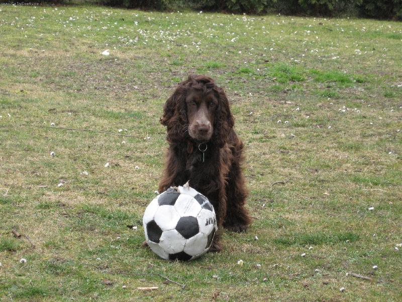 Foto: Ad�lka-Tak tu m�te tu Ad�lku u� je celkem v�t�� ale je to je�t� �t���tko druh�