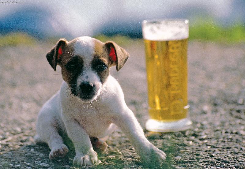 Foto: Mija-U� se te��m zase na teplo....