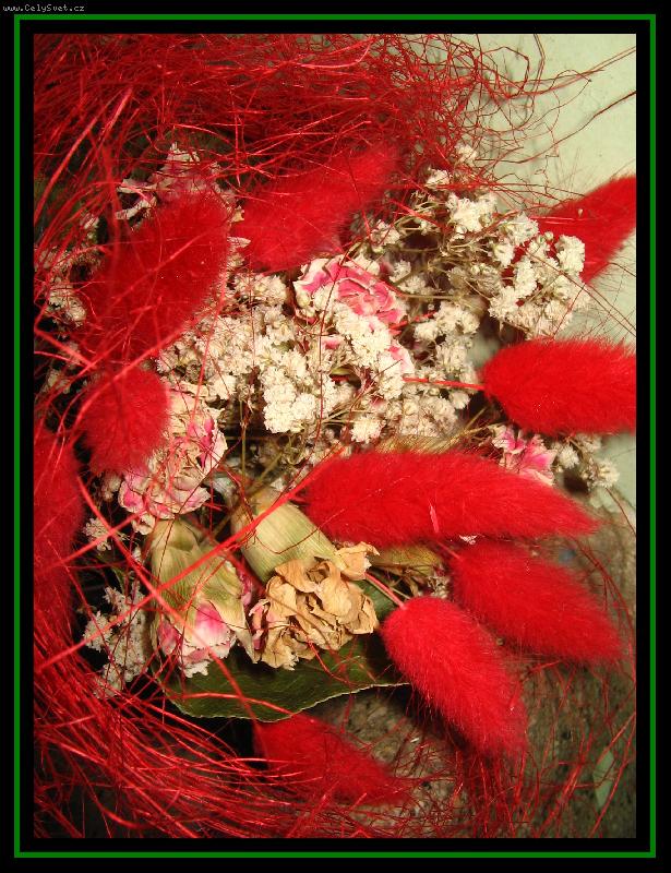 Foto: nesmrteln� kr�sa