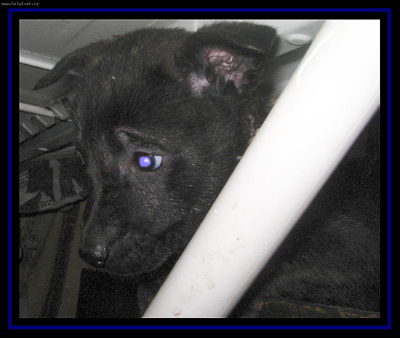 Foto: Budou na mne hodn�?-p�ed odjezdem k nov�m p�n��k�m:)