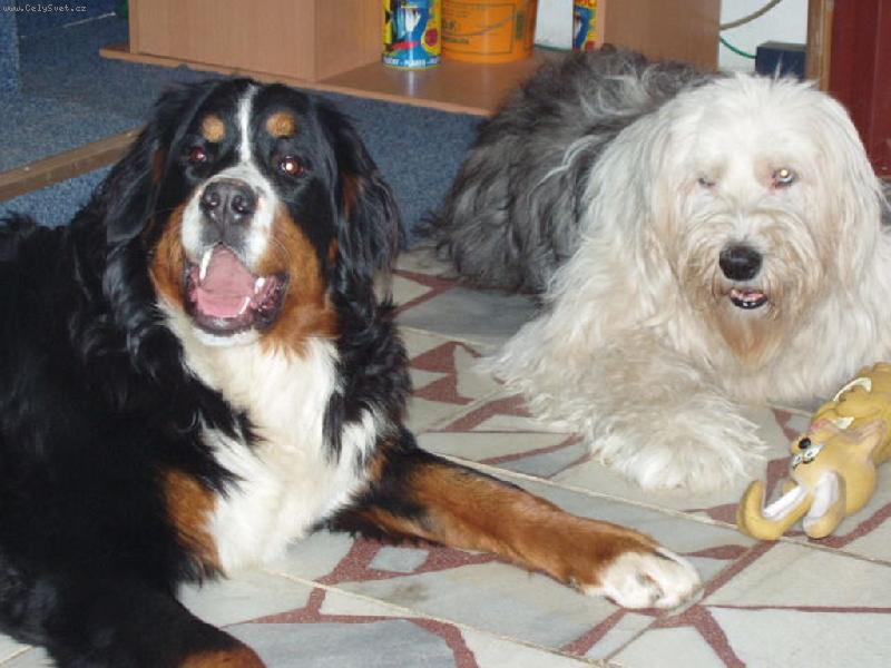 Foto: Puberta+zral� v�k-Eli�ka-11 m�s.+Andy-14 let