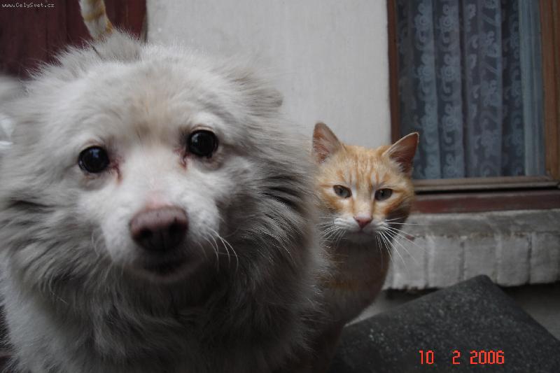 Foto: K�mo�i-- k�mo�i jak hrom