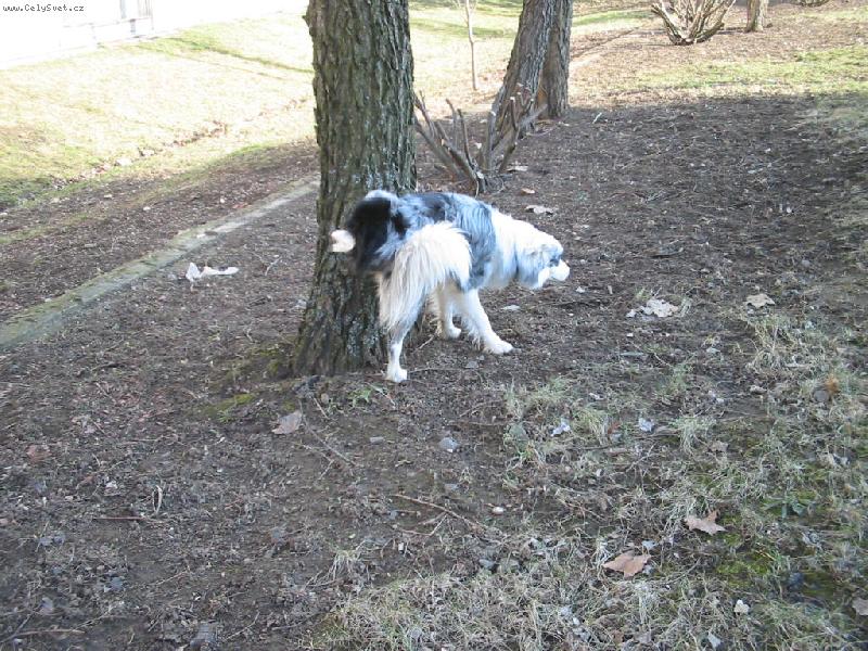 Foto: taky m�m pot�eby