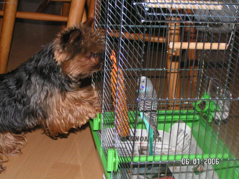 Foto: Nela a papou�ek Riki- ... m��u si s n�m pohr�t ?  ...
