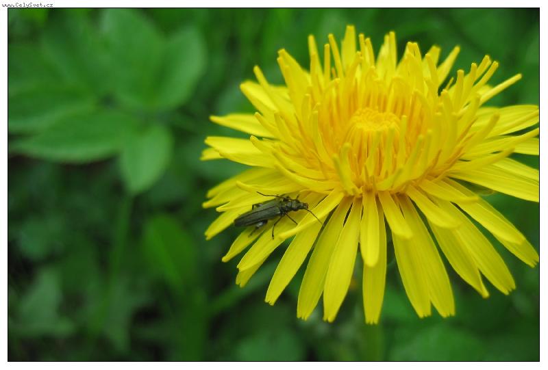 Foto: Tady se mi l�b�!!!