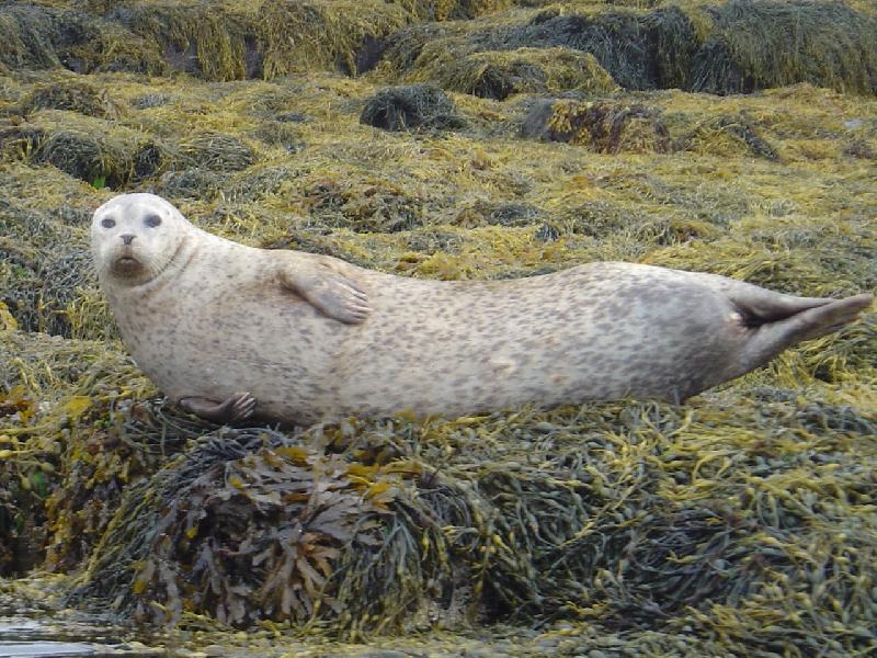 Foto: l�b�m se ti?