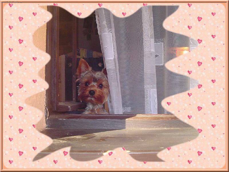 Foto: Bert�k-U� v�s vyhl��m !