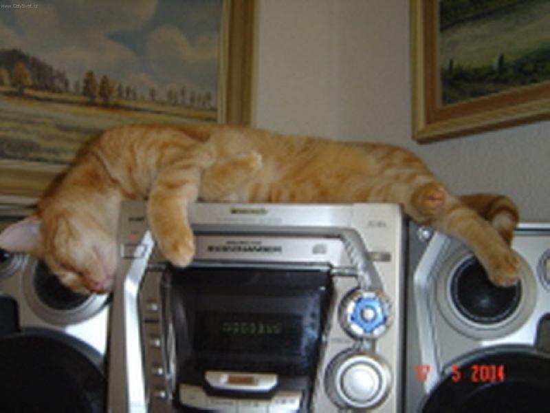 Foto: tvrd� span�