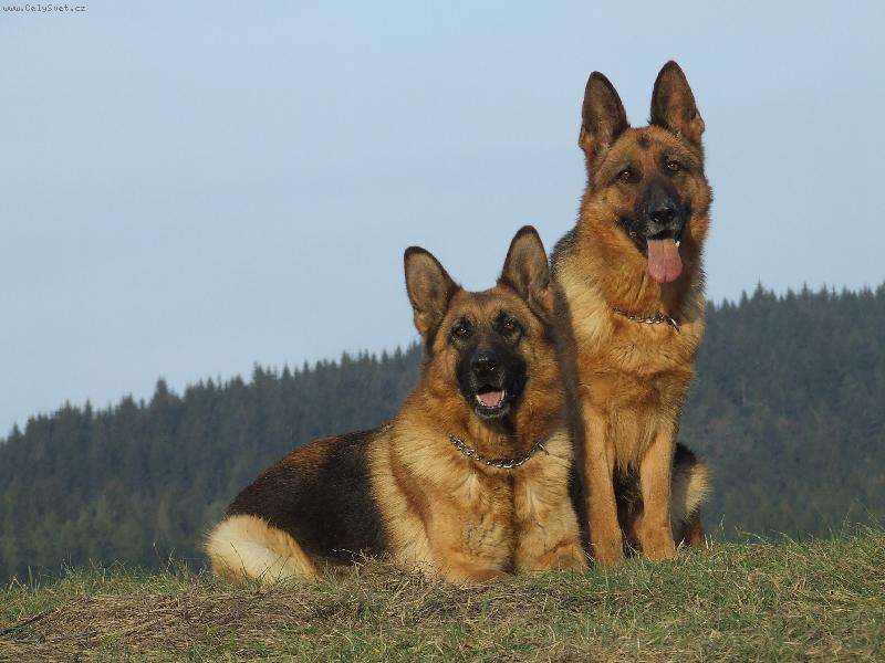 Foto: m�me pekn� v�h�ad