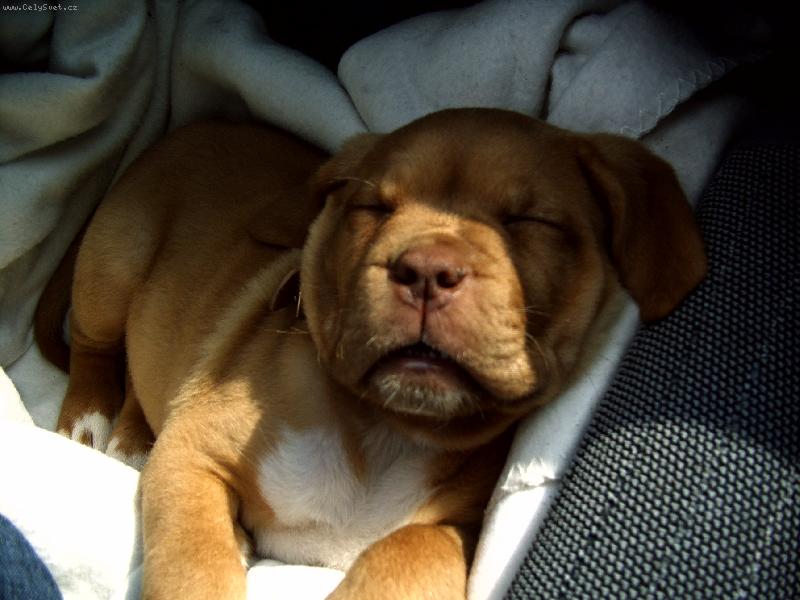 Foto: Berryl-unavena