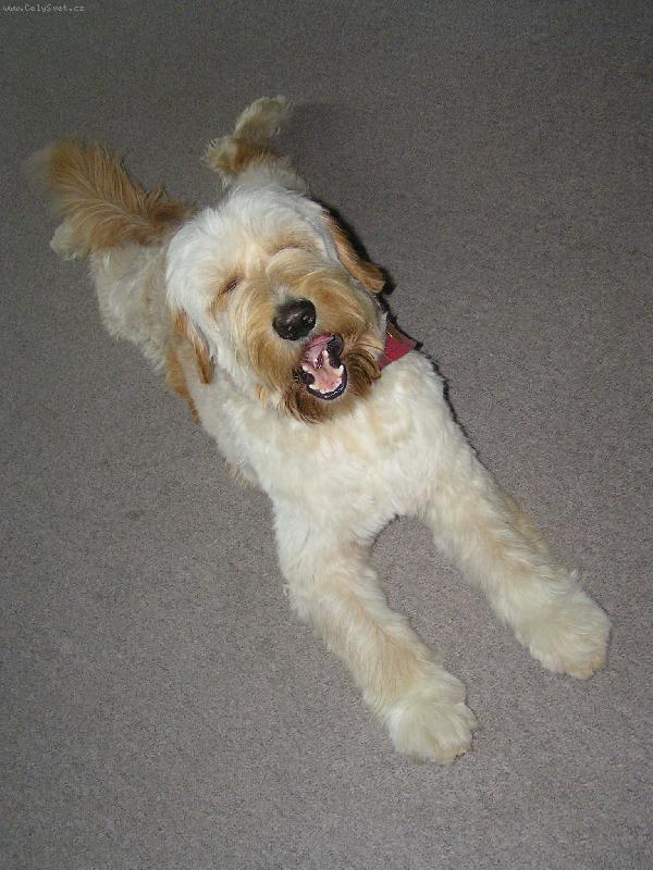 Foto: Mat�j- . . . t��khle jse dlouh� :)