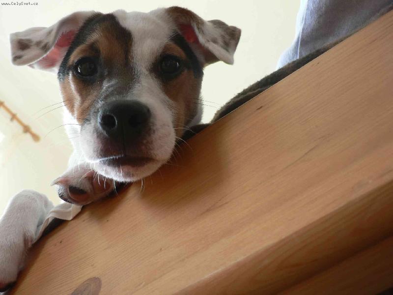 Foto: FATTY HOP TROP-Co tam dole d�l�??