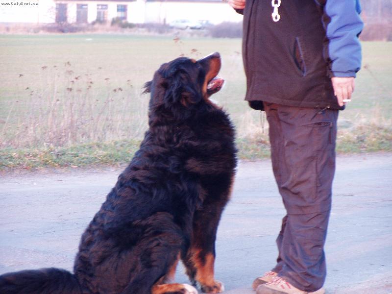 Foto: Achil z Opatovick�ch luk-Achil s pani�kou