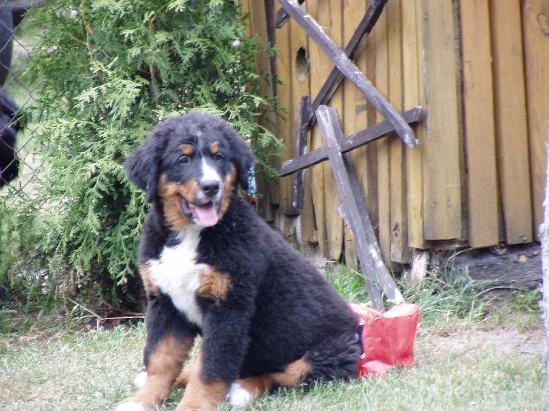 Foto: kde jste v�ichni