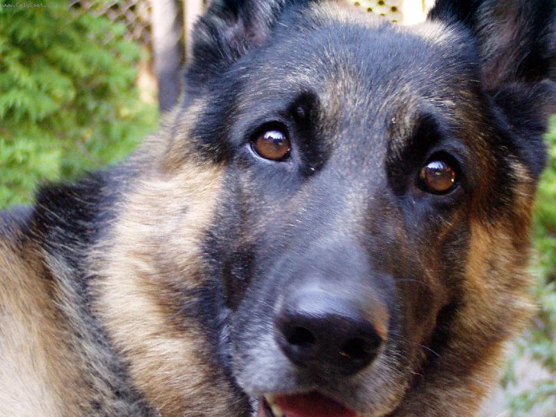 Foto: �e by ko�i�ka?