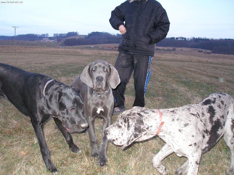 Foto: Sanny, Dino a Shiva-Proch�zka