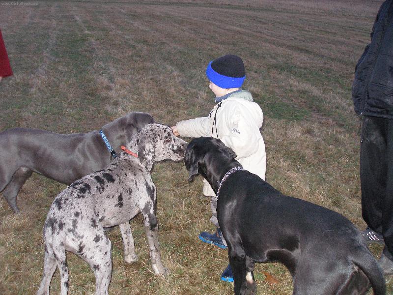 Foto: Na v�echny se dostane-Rozd�v�n� pamlsk�