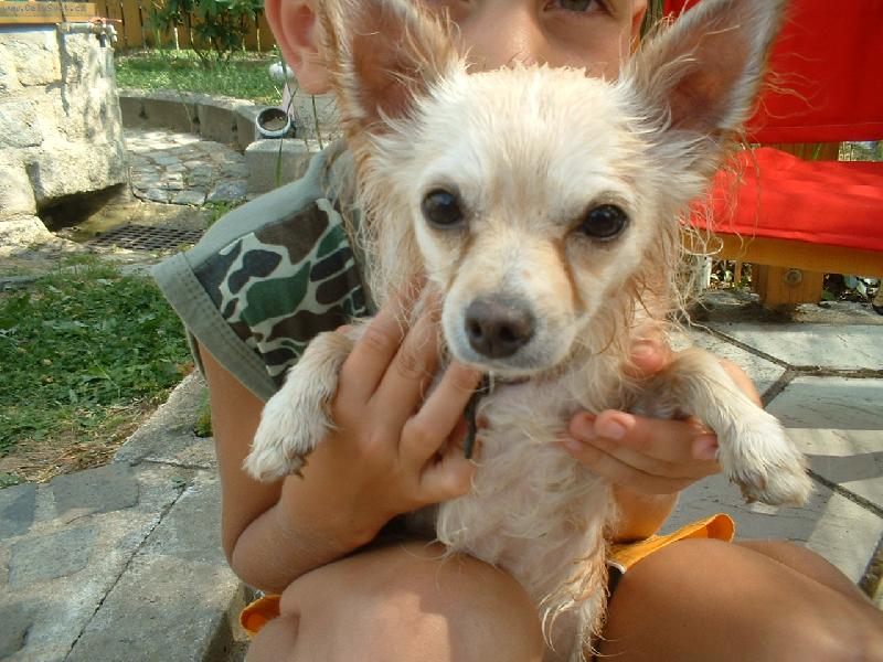 Foto: �IKO-jsem se koupal