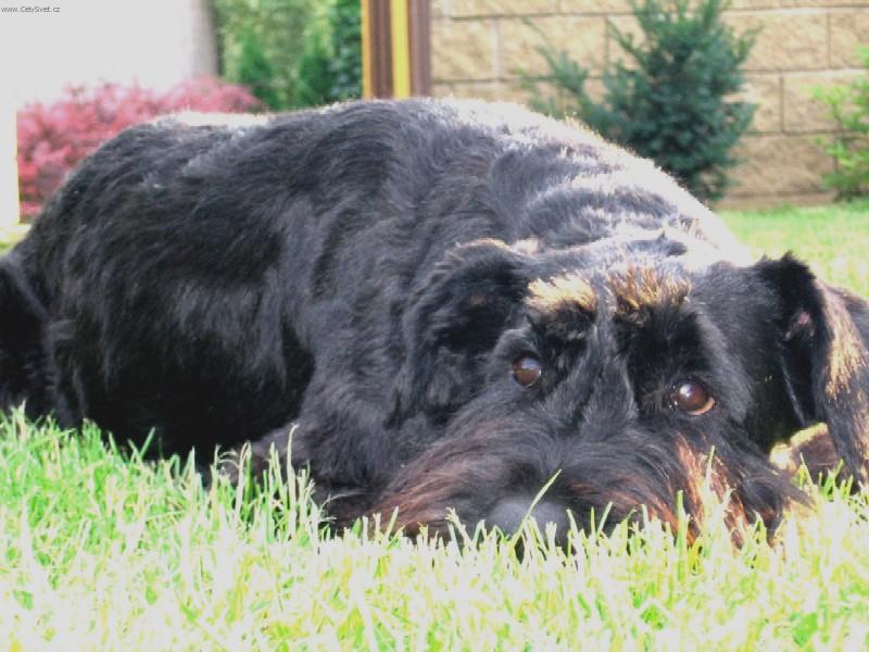 Foto: Linn Bitt Box-Odpoledn� siesta