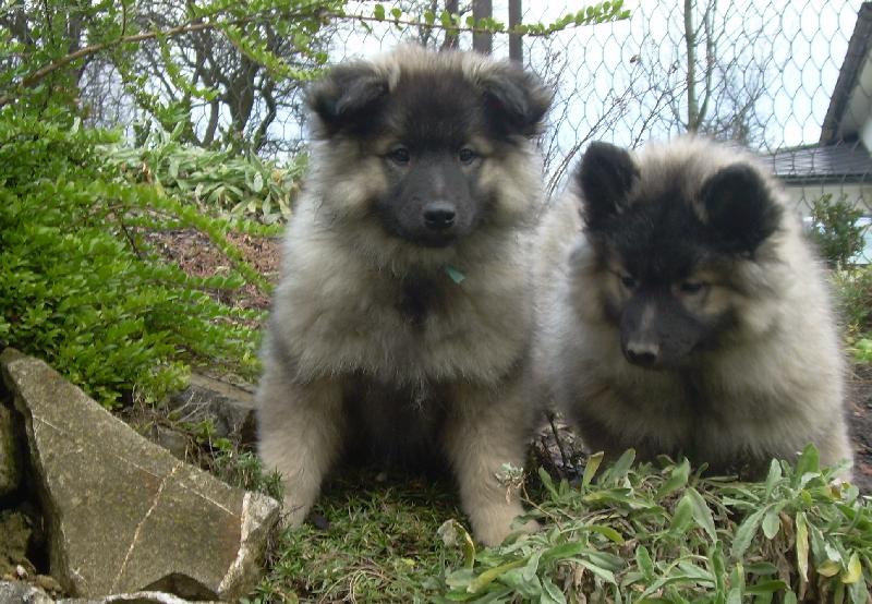 Foto: Pr� jsme neposedn�-Tak vid�te, �e to nen� pravda!