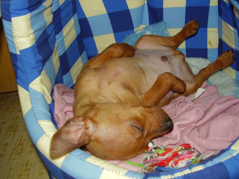 Foto: nejrad�ji sp�m na z�dech