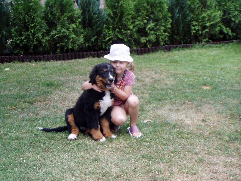 Foto: �e n�m to slu��