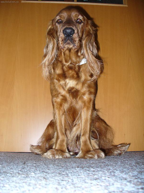 Foto: S�ra-Nikoho ven ani dovnit� nepust�m