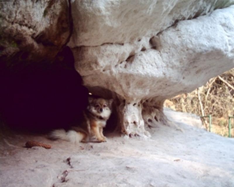 Foto: Co kouk�te toje moje bydlen�-v�let na skal�ch