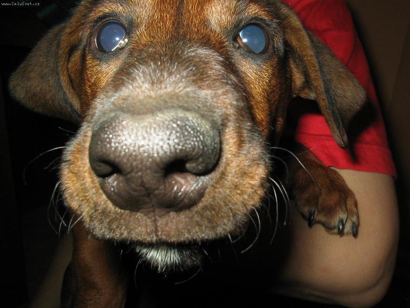 Foto: Cit�m v�e-ale jenom z bl�zka:)