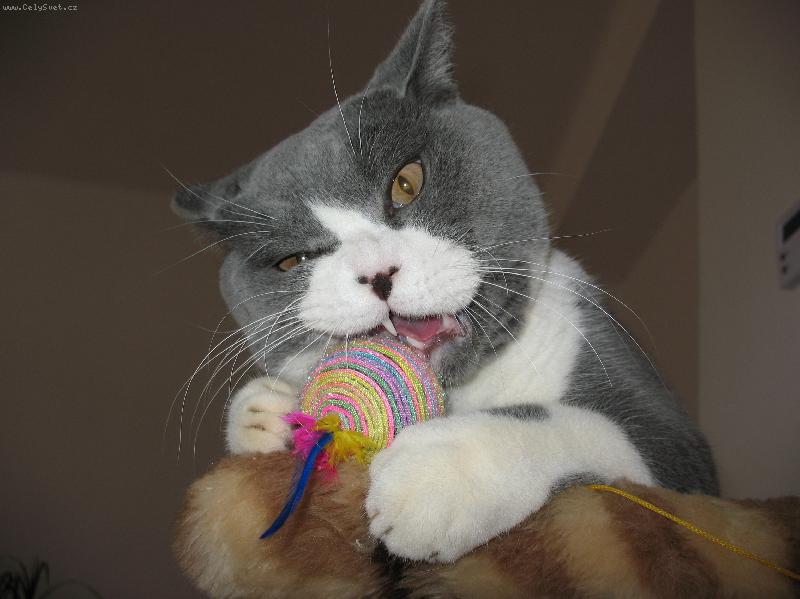 Foto: Mat�sek-Hr�tky s m��kem